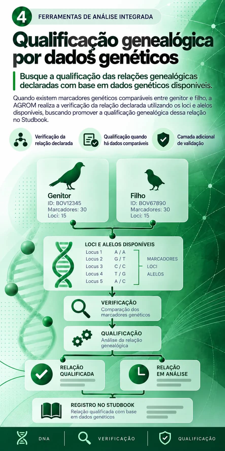 Qualificação genealógica por dados genéticos: busque a qualificação das relações genealógicas declaradas com base em dados genéticos disponíveis; verificação da relação declarada, qualificação quando há dados comparáveis, camada adicional de validação