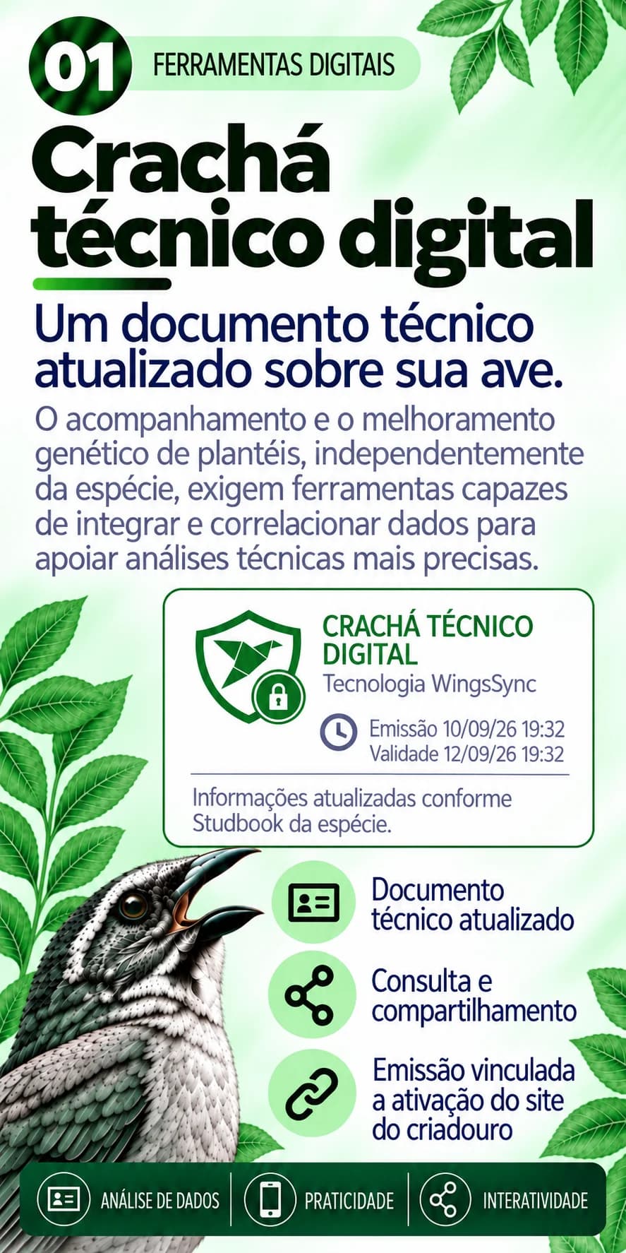 Crachá técnico digital: um documento técnico atualizado sobre sua ave