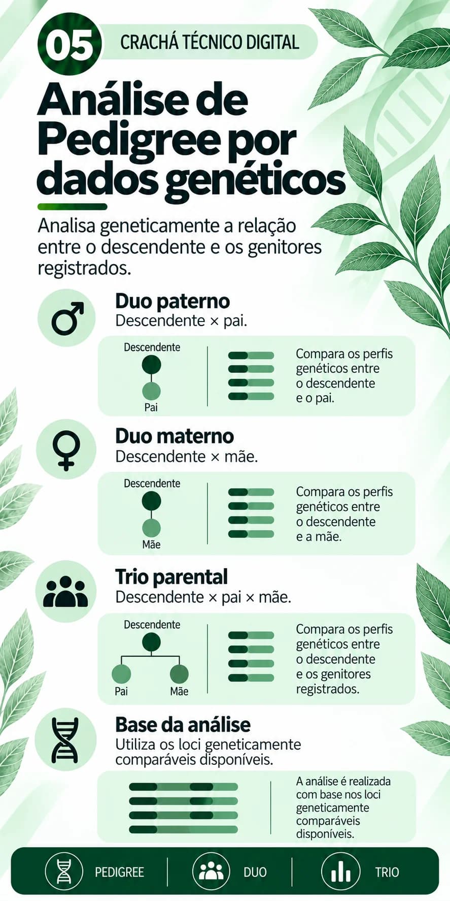 Análise de pedigree por dados genéticos: duo paterno, duo materno, trio parental e base da análise
